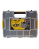 Organizator Junior STANLEY.