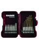 Biti 1/4" x 50 mm si burghie cu baza hexagonala Raider Power Tools set 15 piese