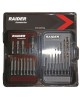 Biti 1/4" x 50 mm si burghie cu baza hexagonala Raider Power Tools set 20 piese