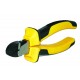 Cleste sfic