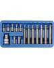 Trusa 15 piese bituri torx CrV 