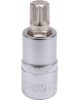 Bit spline M12 cu adaptor 55 mm YATO
