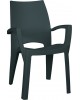 CURVER. Scaun Spring verde inchis 
